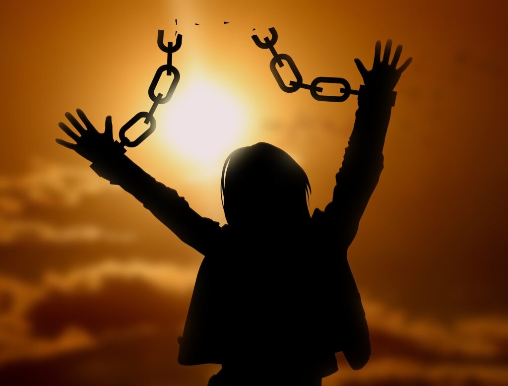 What Does Freedom Mean To You? What Does Freedom Mean To You?